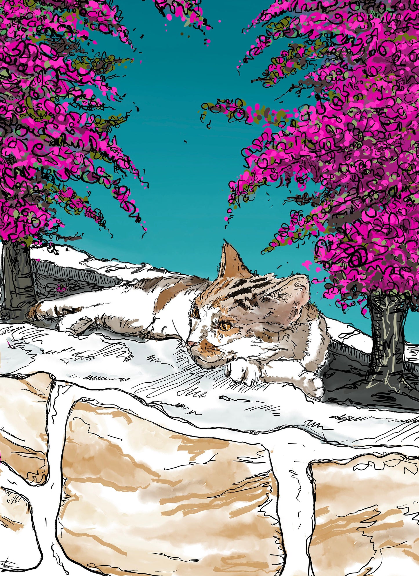 Greek Bougainvillea Cat Print