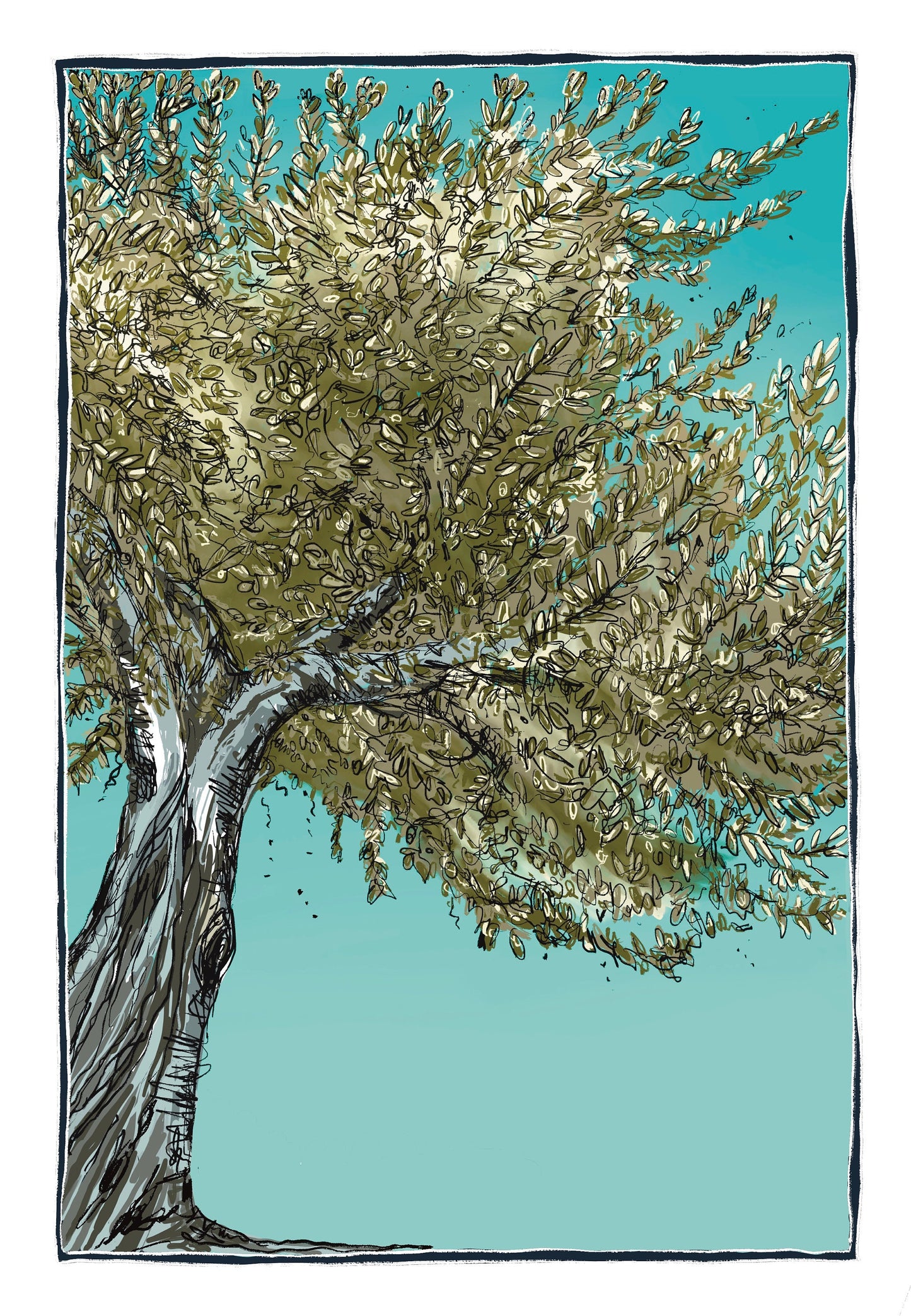 Greek Olive Tree in Sunlight