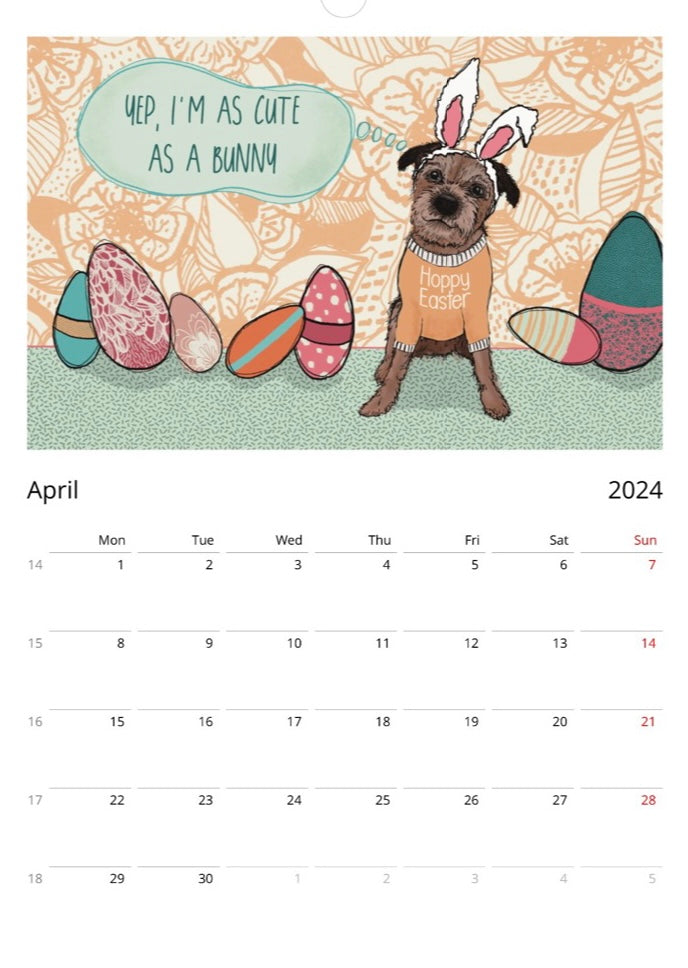 Border Terrier 2024 A3 Wall Calendar (10% of all profits go to Border Terrier Welfare)