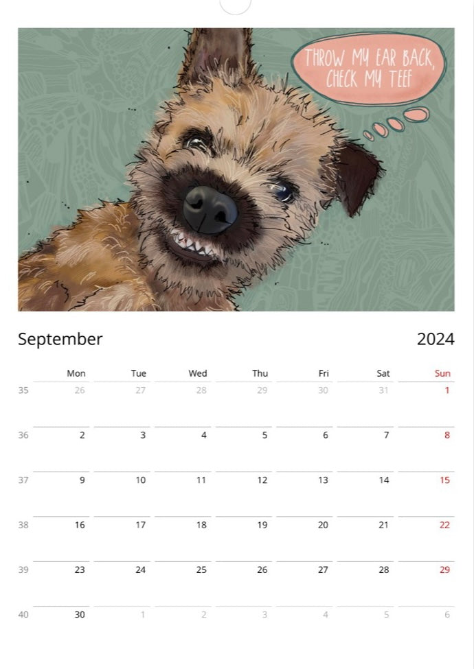 Border Terrier 2025 A3 Wall Calendar (10% of all profits go to Border Terrier Welfare)