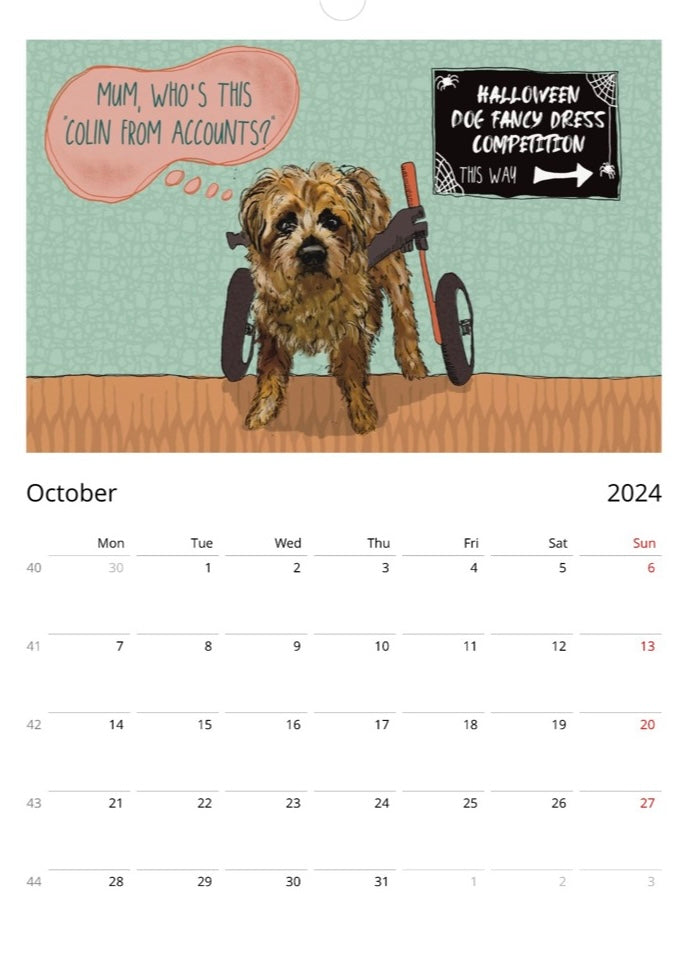 Border Terrier 2024 A3 Wall Calendar (10% of all profits go to Border Terrier Welfare)