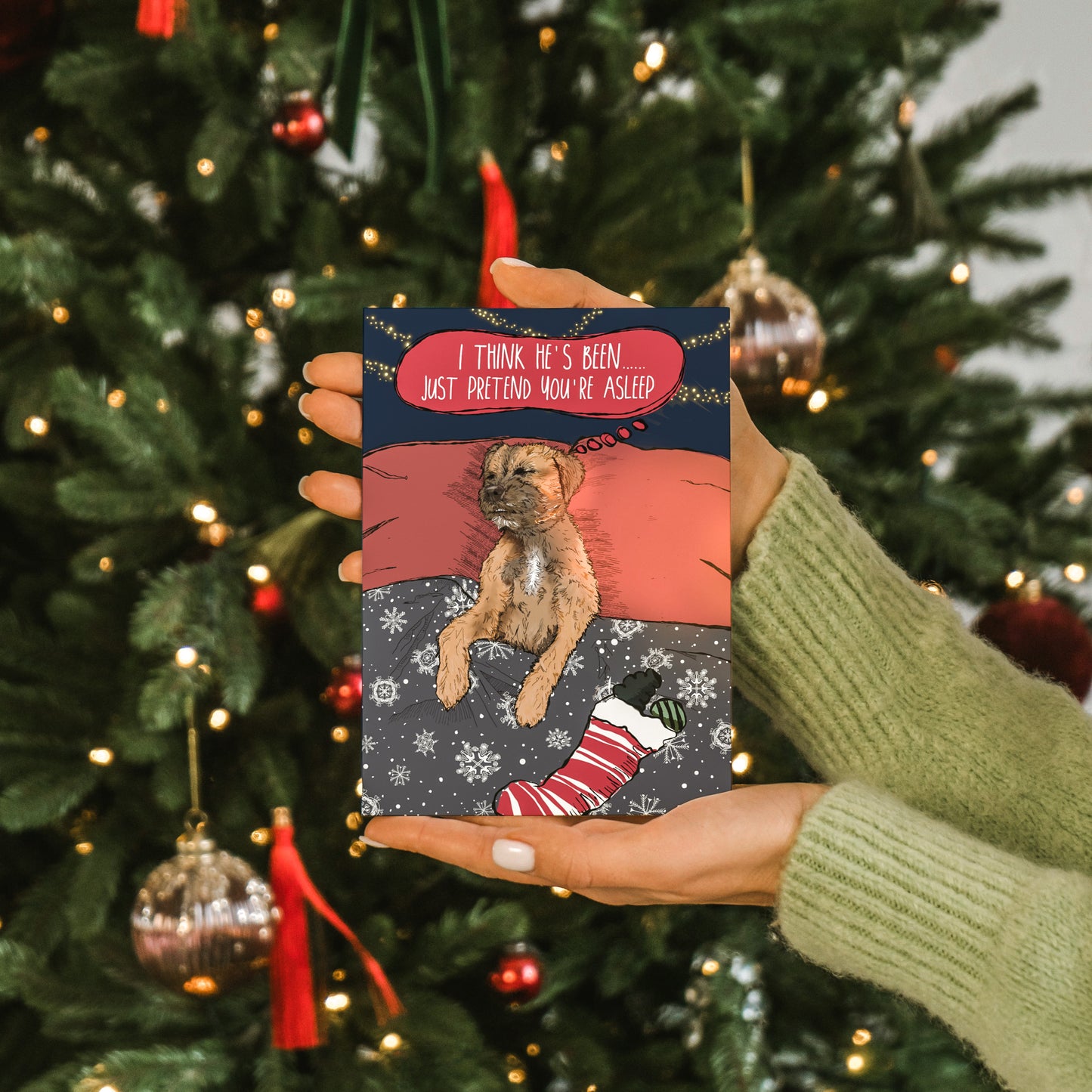 Border Terrier Christmas Card Pack of 5