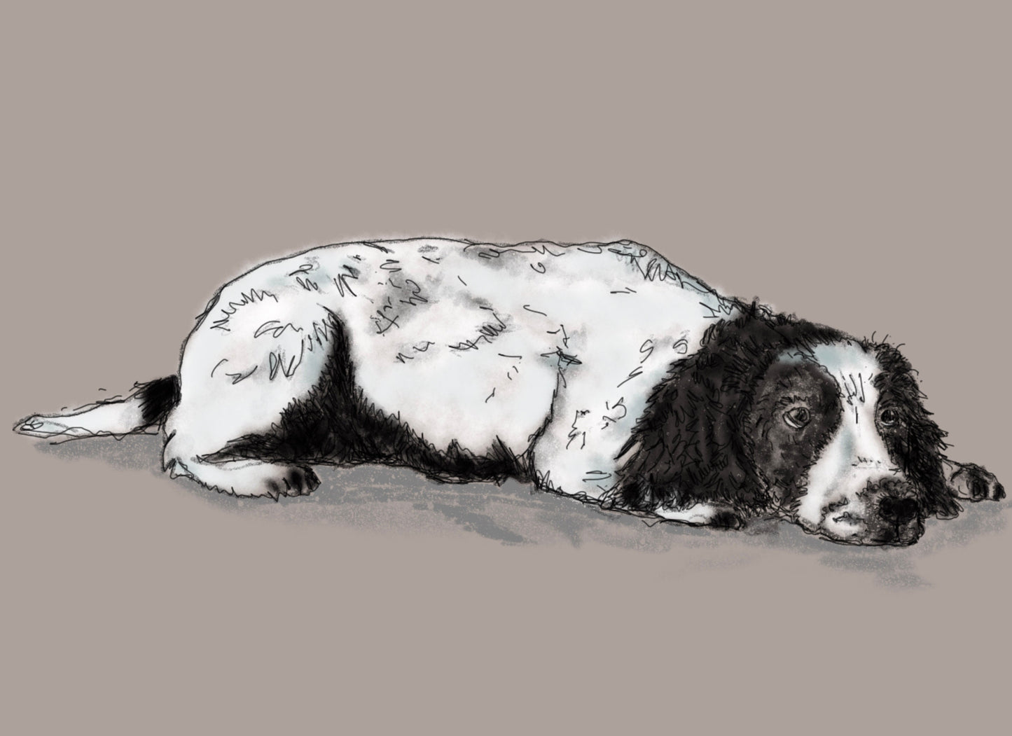 Personalised Original Digital Pet Portrait