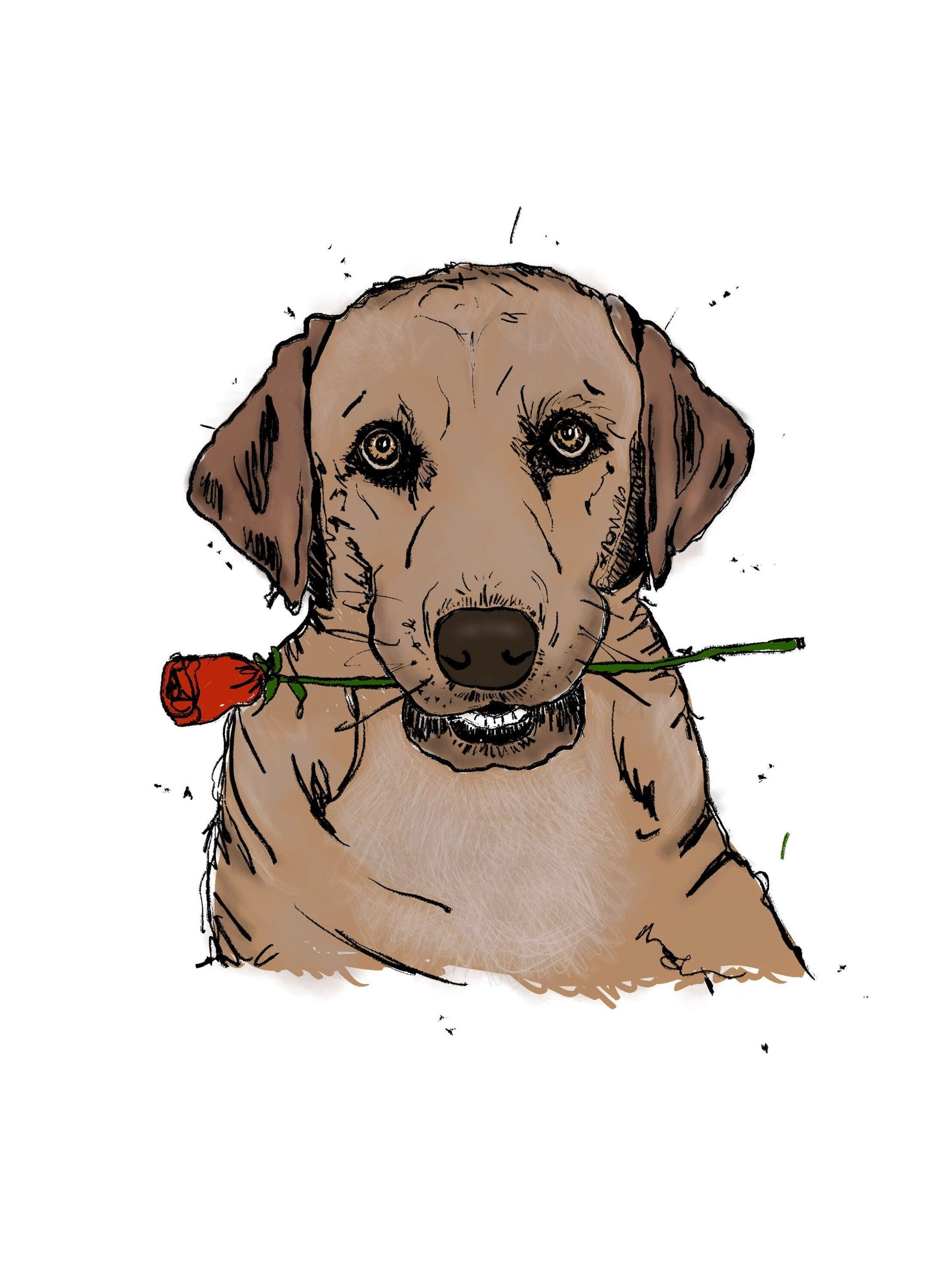 Labrador Love / Anniversary Card