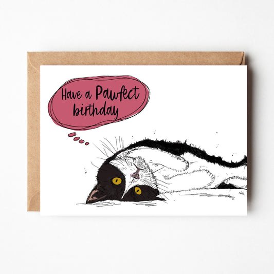 Black and white cat birthday card,